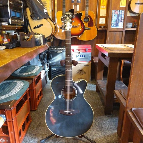 Chitarra elettrica acustica