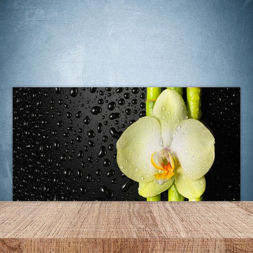 Paraschizzi cucina 100x50 - paraschizzi,