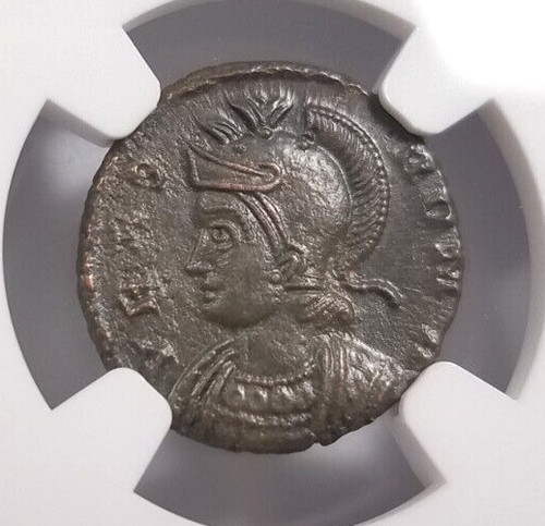 Gemelli lupo costantiniani - lupo, ngc