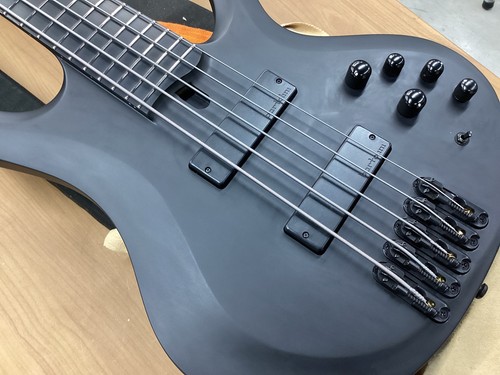 Ibanez btb625ex iron label - iron,