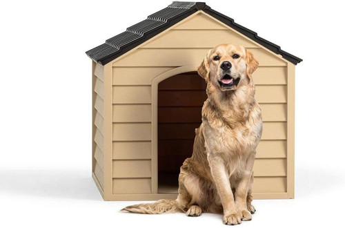 Cuccia per cani - cuccia,