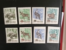 COLLEZIONE DI FRANCOBOLLI POLSKA POLACCHI POLACCHI, GG