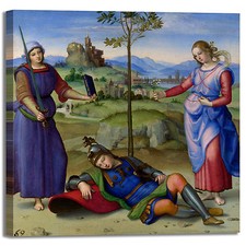 Raffaello visione di un