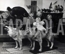 Foto Vintage Animali Finlandia