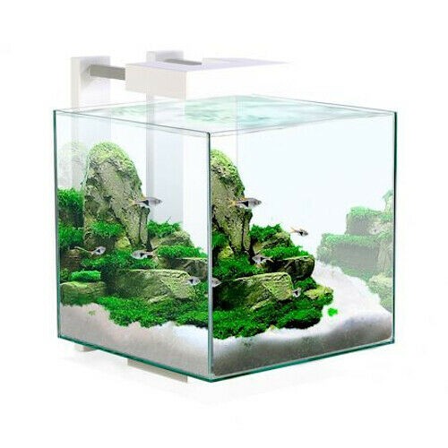 Serbatoio acquario gamberetti
