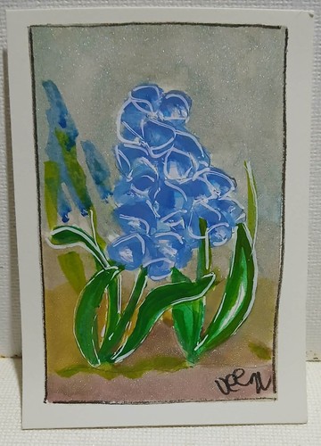 Giacinto uva aceo - giacinto,