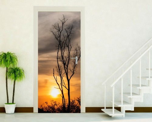 Adesivi porte adesivo porta - adesivi,