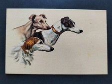 CARTOLINA CANI ANNI 50 - 60