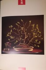 BONSAI SALICE OLIVO POSTER F/R ESTRATTO DA RARO CATALOGO FOTOGRAFICO