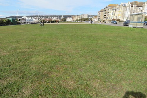 Photo 6x4 open - open, grass