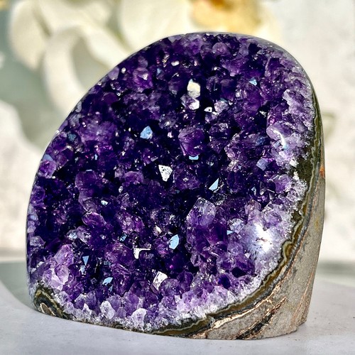 310g uruguay top tier - 310g,