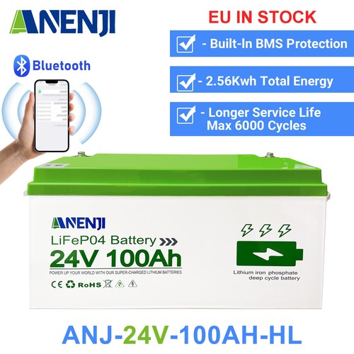 Lifepo4 batteria 24v - lifepo4,