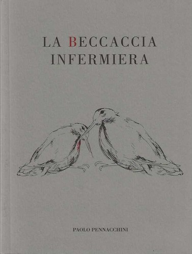 Beccaccia infermiera - la,
