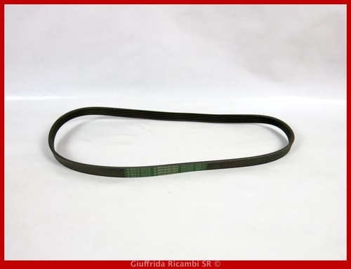 Cinghia servizi poly toyota - cinghia,