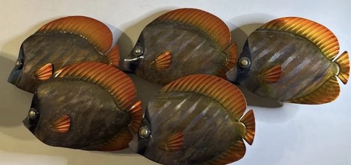 Farfalla pesce rame scuola - farfalla,