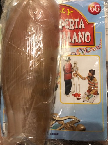 Alla scoperta del corpo umano