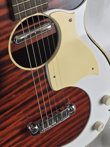 Chitarra acustica salotto - acustica, da