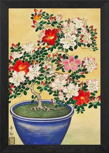 Bonsai azalea vaso - bonsai, di