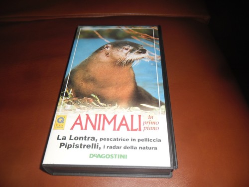 Piero angela animali - angela,