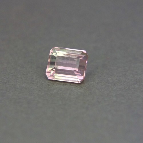 Shola vero ct - shola,