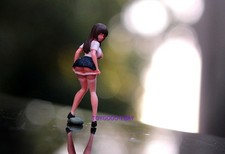 Miniture 1/64 1/87/43