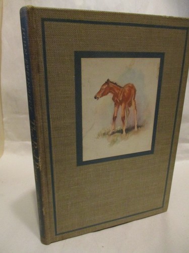 The red pony - 'the, john