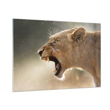 Quadro su Vetro 100x70cm Leone