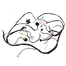 Impianto elettrico Malaguti