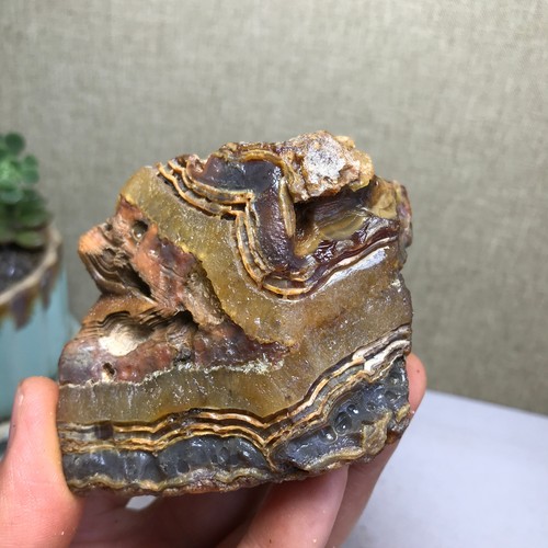 Bonsai naturale 279g - naturale,