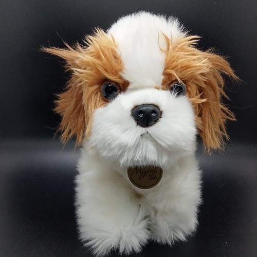 Shih tzu cucciolo cane - tzu,
