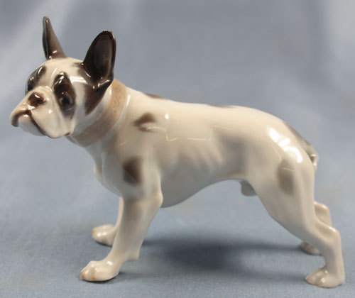 Französischer bulldogge - französischer,