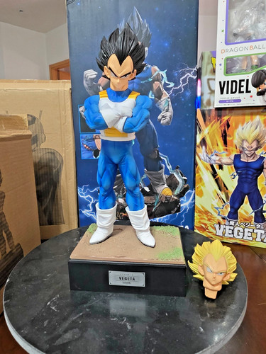 Vegeta circa guerriero z - cm,