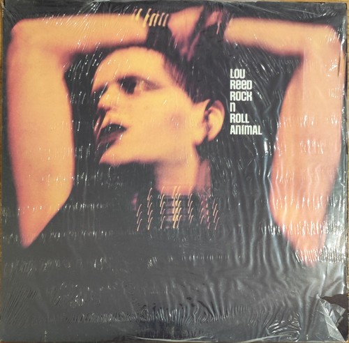 Lou reed rock - reed, rock'n'