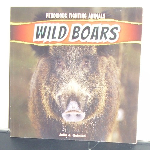 Wild boars ferocious fighting - wild,