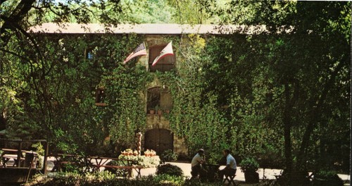 Degustazione vini vintage - degustazione,
