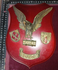 CREST Técnico Especialista Desactivación Artefactos Explosivos TEDAX RARITA'