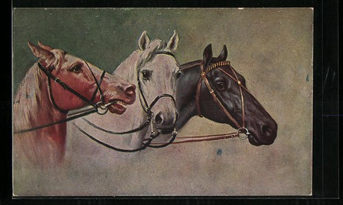Testa cavallo marrone - di,