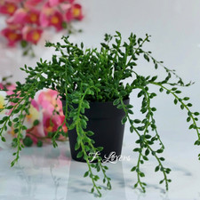 Ikea FEJKA Stringa di Perline