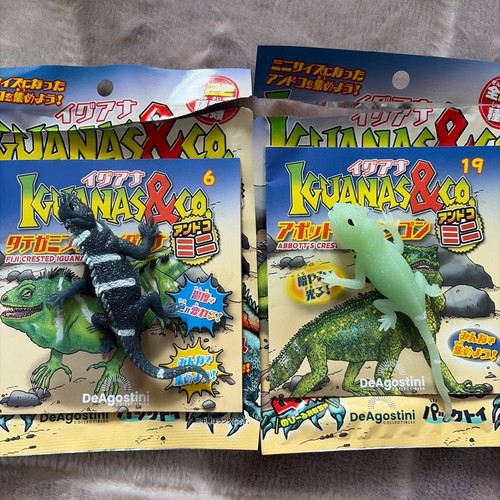 Point iguana co and comini - 2,