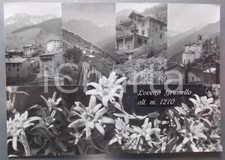 1960 paisco loveno - ca,