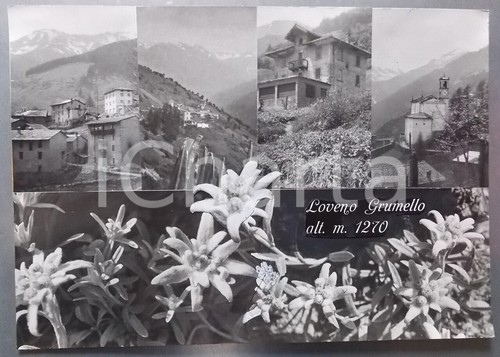 1960 paisco loveno - ca,