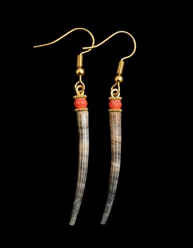 Orecchini dentalium dangle - orecchini,