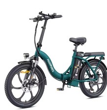 Bicicletta Elettrica 250w