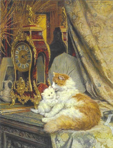 Nuova cartolina gatti - nuova,