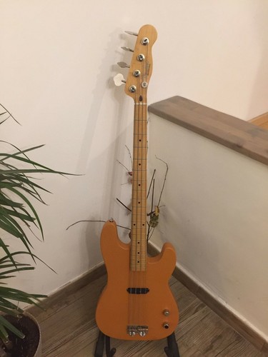 Basso elettrico fender - elettrico,
