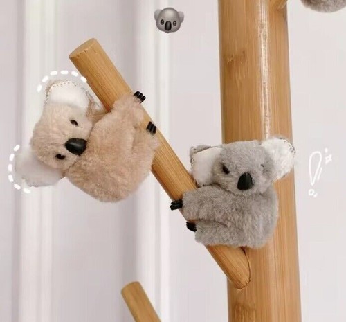 Carino orso koala animale - 2,
