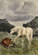 Dipinto acquerello cavalli