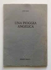 Aldo Busi Una pioggia angelica