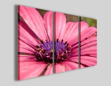 Quadri moderni Purple flower stampe fiori