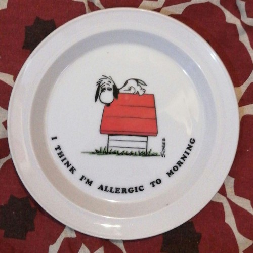 Piatto snoopy arachidi - piatto,